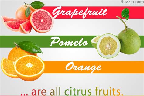 A Complete List of Citrus Fruits With Awesome Facts .